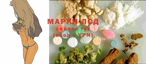 спайс Арсеньев