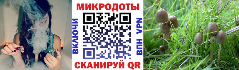 ссылка на мегу вход  Серов  Псилоцибиновые грибы Magic Shrooms 
